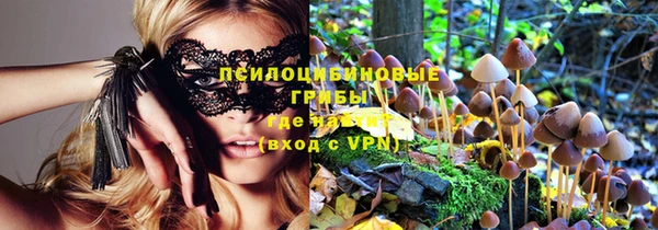 шишки Алексеевка
