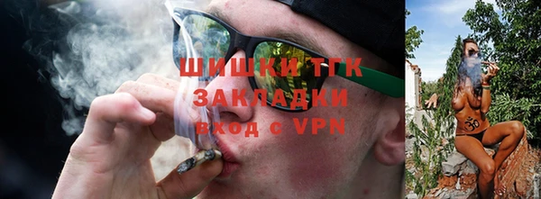шишки Алексеевка