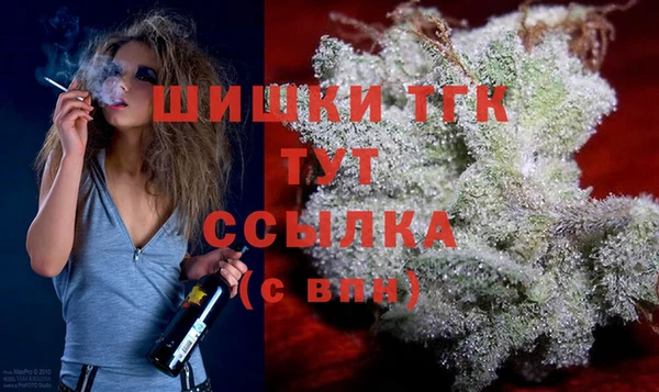 дживик Алексин