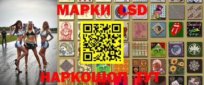 крисы Новокубанск