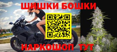 крисы Новокубанск