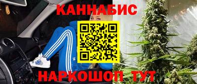 крисы Новокубанск