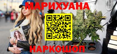 крисы Новокубанск
