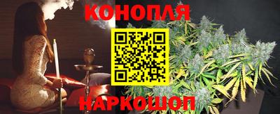 крисы Новокубанск