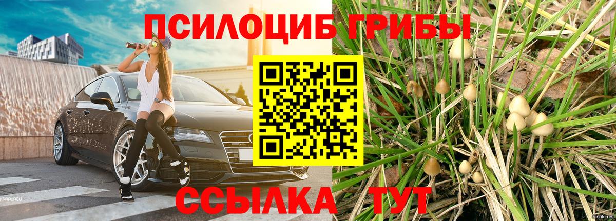 Псилоцибиновые грибы GOLDEN TEACHER  Вход с VPN  Евпатория 