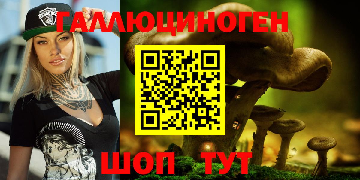 Галлюциногенные грибы Psilocybine cubensis Евпатория