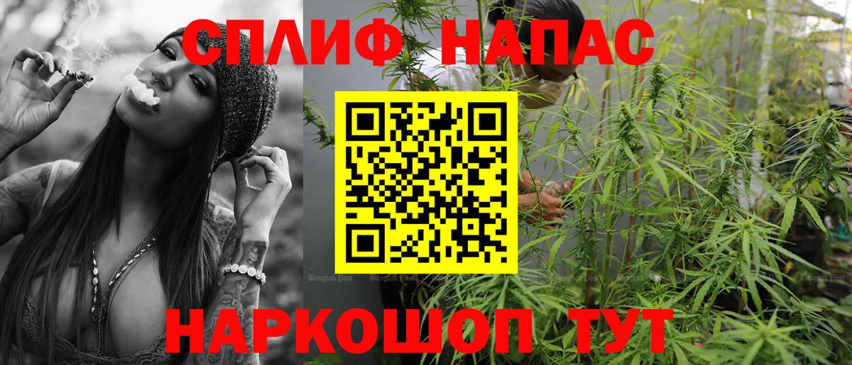 Конопля THC 21%  Каннабис семена  Вход с VPN  Евпатория  Конопля LSD WEED  Каннабис White Widow 